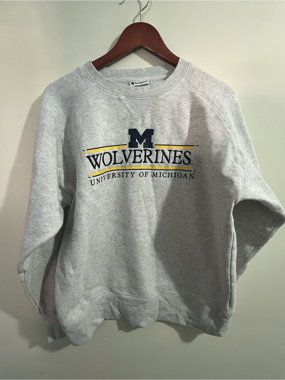 Champion University of Michigan, Michigan Wolverines sweatshirt large